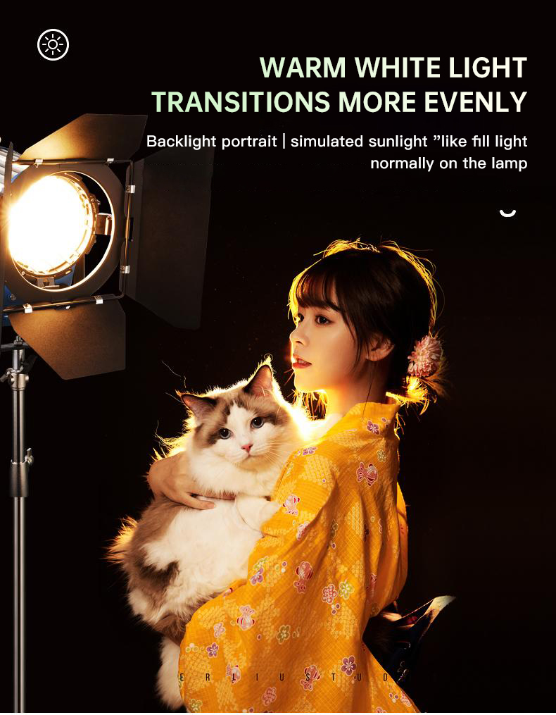 Beiyang 2000W Spotlight Hair L - đánh giá và giá Photography Lighting Indoor
