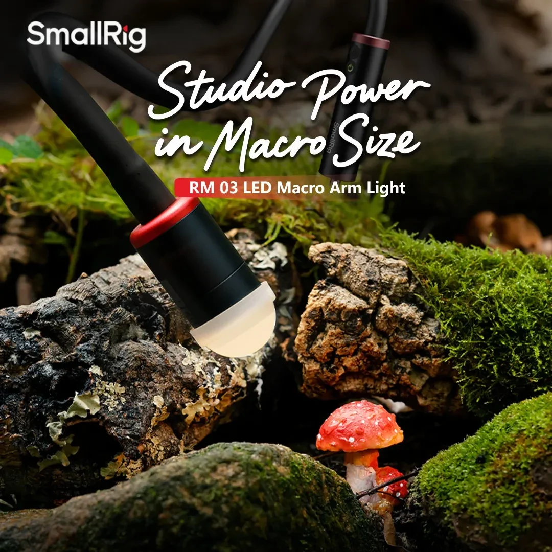SmallRig RM-03 Macro Photograp - đánh giá và giá Photography Lighting For Jewelry